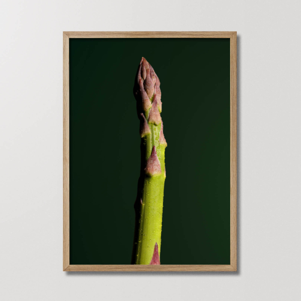 Planetarisk Kogebog plakat med asparges